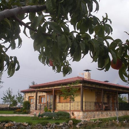 Casa Rural La Galiana Villa Algora Esterno foto