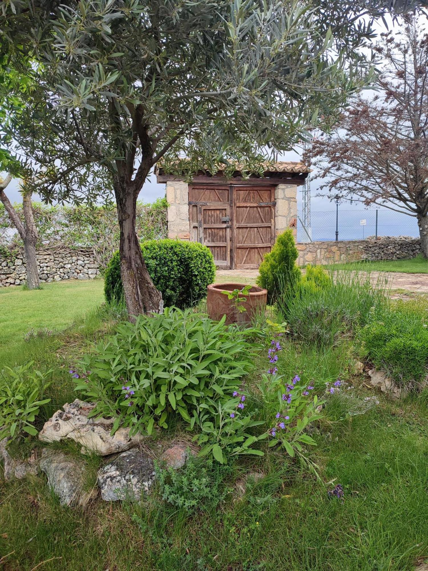 Casa Rural La Galiana Villa Algora Esterno foto